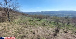 Boljevac, Rtanj – Krivi vir 2ha 49ari 60kvm