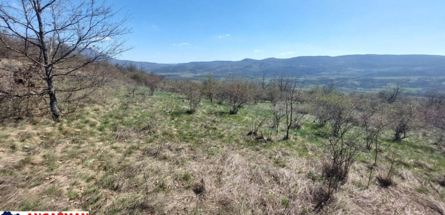 Boljevac, Rtanj – Krivi vir 2ha 49ari 60kvm