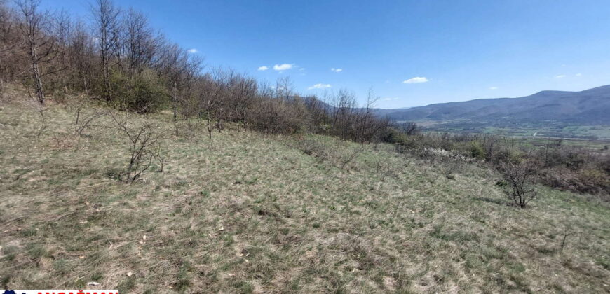 Boljevac, Rtanj – Krivi vir 2ha 49ari 60kvm