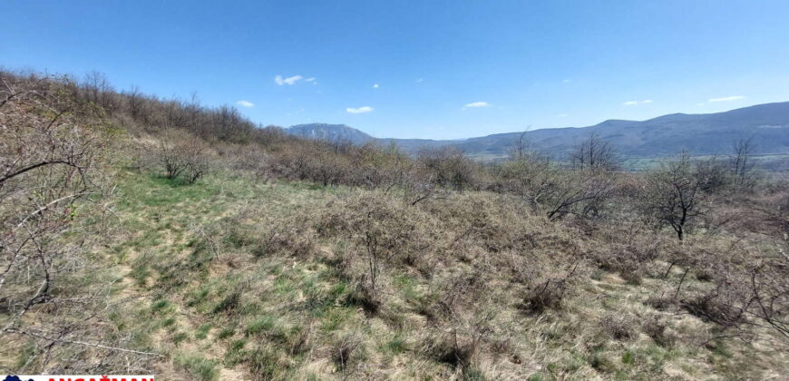 Boljevac, Rtanj – Krivi vir 2ha 49ari 60kvm