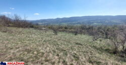 Boljevac, Rtanj – Krivi vir 2ha 49ari 60kvm