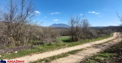 Boljevac, Rtanj – Krivi vir 1ha 36ari 14kvm