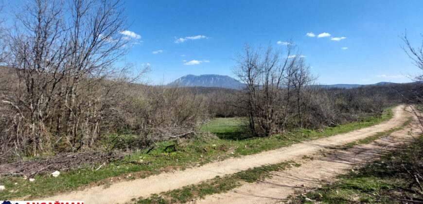 Boljevac, Rtanj – Krivi vir 1ha 36ari 14kvm