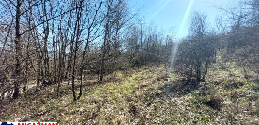 Boljevac, Rtanj – Krivi vir 1ha 36ari 14kvm