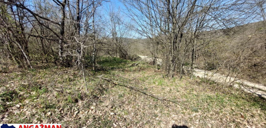 Boljevac, Rtanj – Krivi vir 1ha 36ari 14kvm