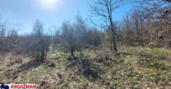 Boljevac, Rtanj – Krivi vir 1ha 36ari 14kvm