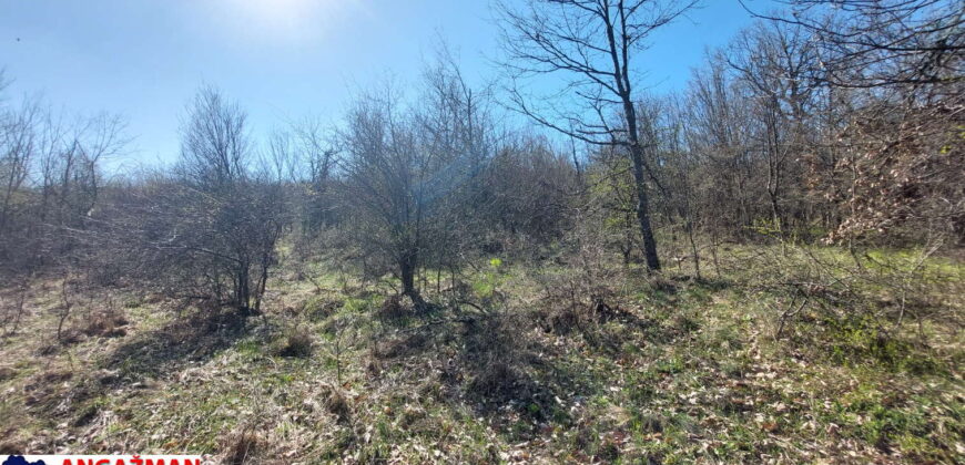 Boljevac, Rtanj – Krivi vir 1ha 36ari 14kvm