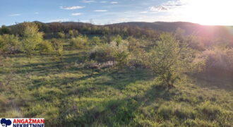 Zaječar – Lasovo 2ha 84ara 52kvm