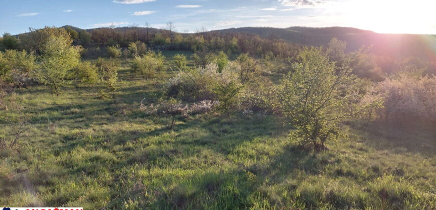 Zaječar – Lasovo 2ha 84ara 52kvm
