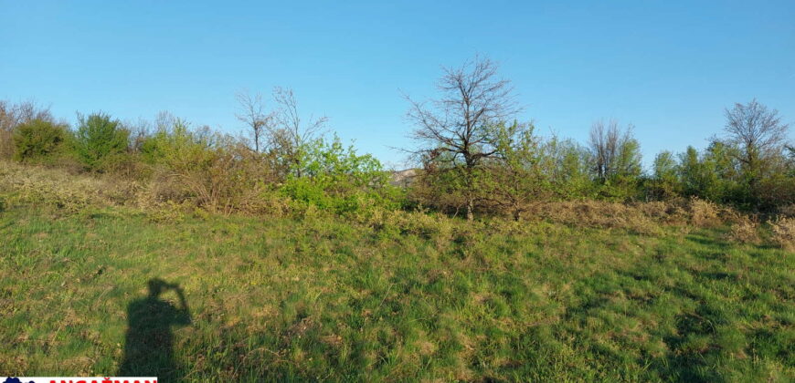 Zaječar – Lasovo 2ha 84ara 52kvm