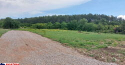 Boljevac, Rtanj – 17,85ari