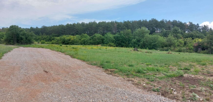 Boljevac, Rtanj – 17,85ari