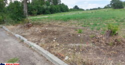 Boljevac, Rtanj – 17,85ari