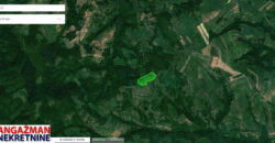 Zaječar – Lasovo 2ha 84ara 52kvm