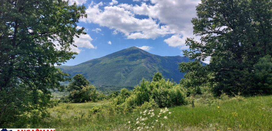 Boljevac, Rtanj – Mirovo 1ha 21ar 04kvm