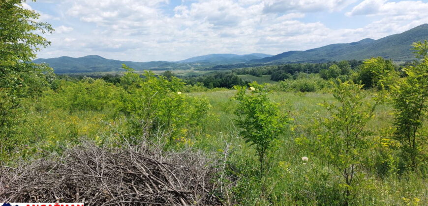 Boljevac, Rtanj – Mirovo 1ha 21ar 04kvm