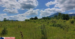 Boljevac, Rtanj – Mirovo 1ha 21ar 04kvm