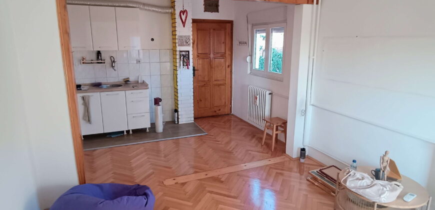 Cvetkova pijaca, 2.5, odličan – 52kvm (mereno 56)