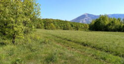 Boljevac, Rtanj – Mali izvor 9ha 60ari