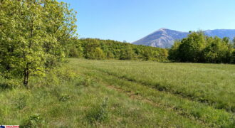 Boljevac, Rtanj – Mali izvor 9ha 60ari