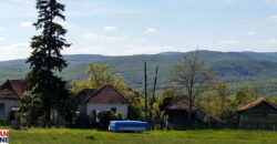 Boljevac, Rtanj – Mali izvor 9ha 60ari