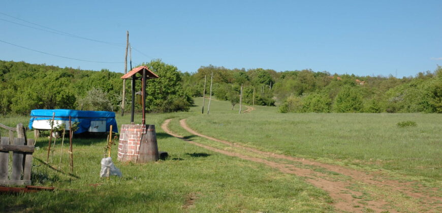 Boljevac, Rtanj – Mali izvor 9ha 60ari