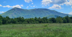 Boljevac, Rtanj – Mali izvor 9ha 60ari