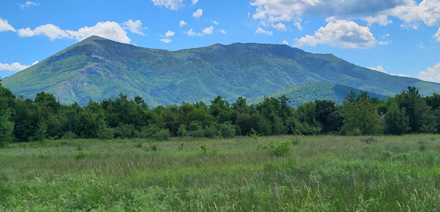 Boljevac, Rtanj – Mali izvor 9ha 60ari